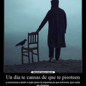 Meet your Posher, Jenny